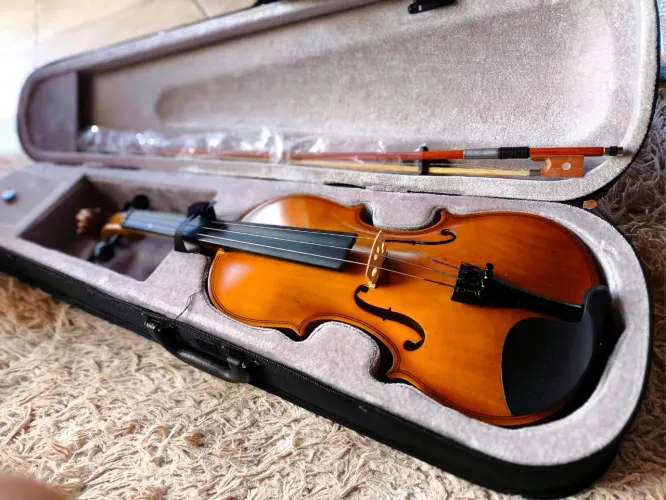 Violino Spring 4/4 VS-44X - Completo com Estojo e Arco