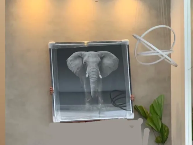 Quadro Elefante Decorativo