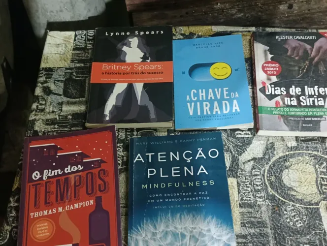 Livros diversos - ótimo estado
