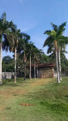 Terreno na ALÇA VIÁRIA