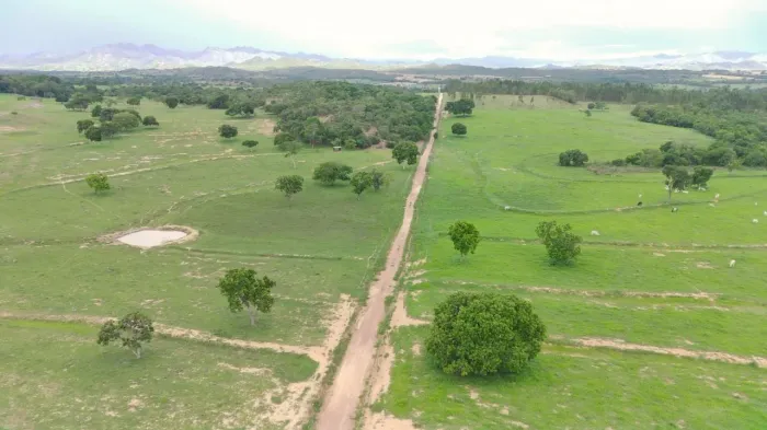 Fazenda 76 alqueires em Niquelandia-Go