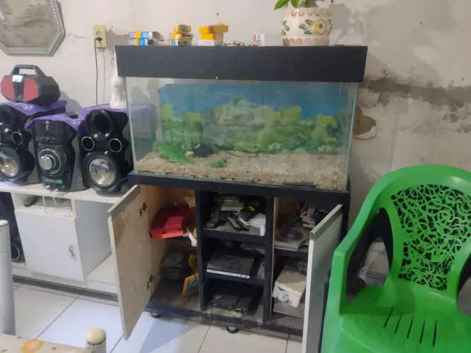 Aquário 