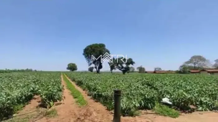 Área Rural à Venda em Mombuca  Casa + Barracão  Excelente Localização em Guatapará!