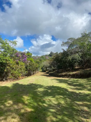 Fazenda Alto da Serra