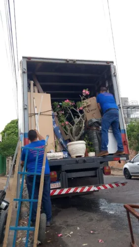 AJUDANTE(SOU)DE,MUDANÇAS/TRANSPORTES