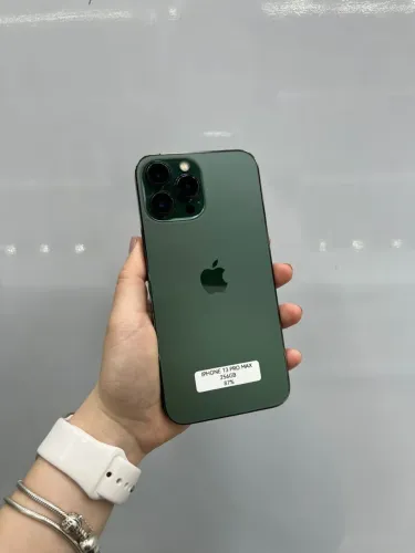 iPhone 13 Pro Max 256 gb