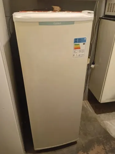 Freezer vertical