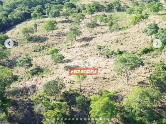 Fazenda 44 alqueires (212,96 hectares) Varjão - Go
