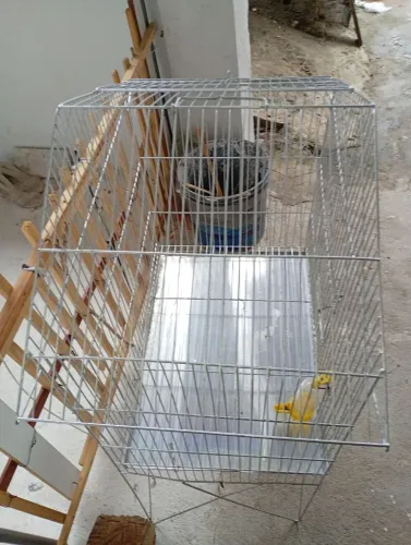 Vendo uma gaiola