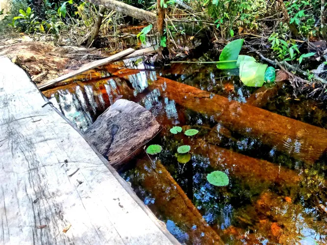CHÁCARA EM PORTO VELHO