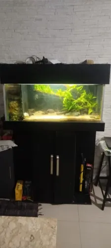 Aquario completo com móvel