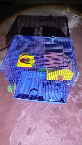 Gaiola para hamster 