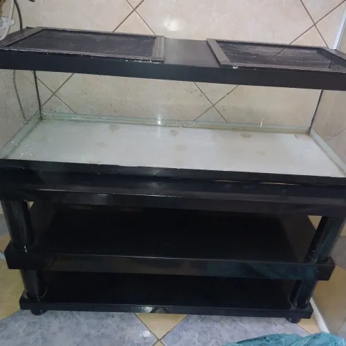 Terrário 