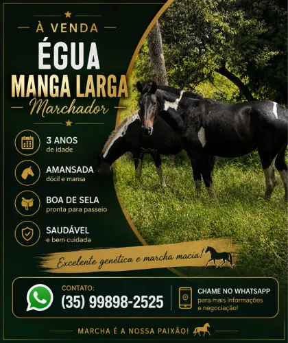 Vendo égua manga larga marchador