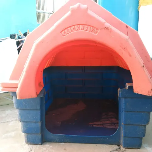 CASA DE CACHORRO GRANDE!!!