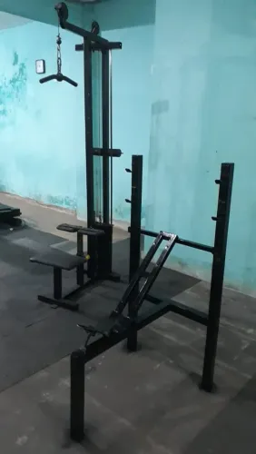Musculação 