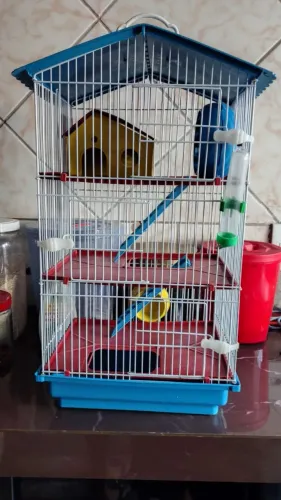 Gaiola para hamster