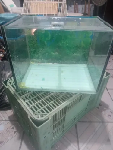 Aquario