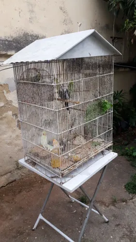 Vendo ótimo viveiro grande. Preço muito bom