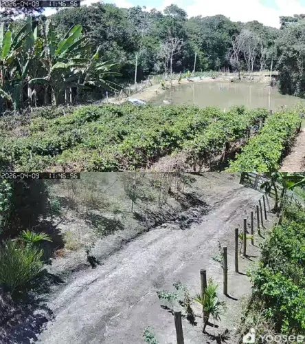 Linda Chácara com aproximadamente 2,5 ha em condomínio fechado