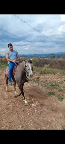 Égua