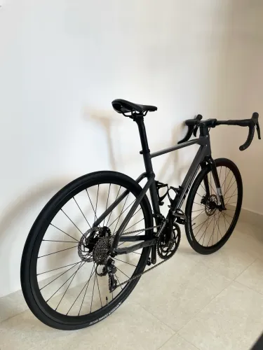 Bicicleta Swift Enduravox Pro TAM 51
