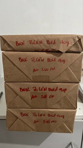 Papel Pólen Bold 90g A4