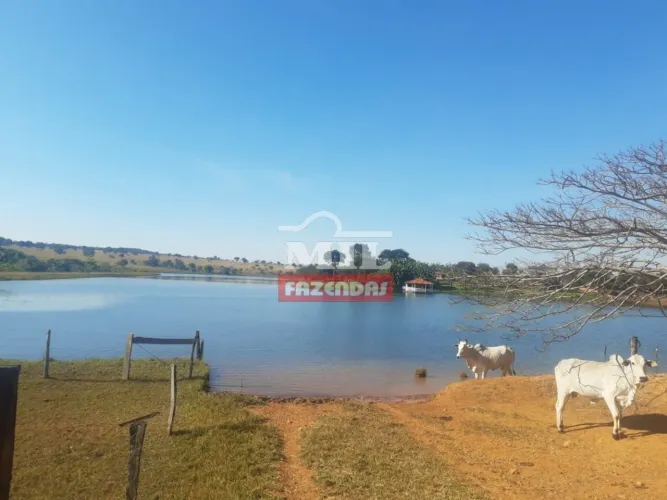 Fazenda Agrícola de Alto Padrão a 90 km Goiânia (175 Alqueires)