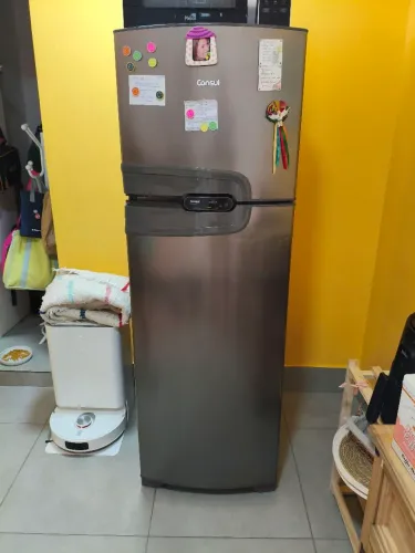Consul Frost Free Duplex Inox