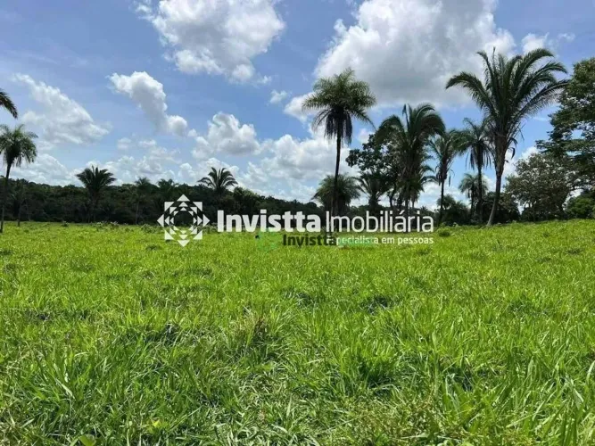 Fazenda de 39 alqueires com terra de cultura e excelente logística em Miranorte/TO
