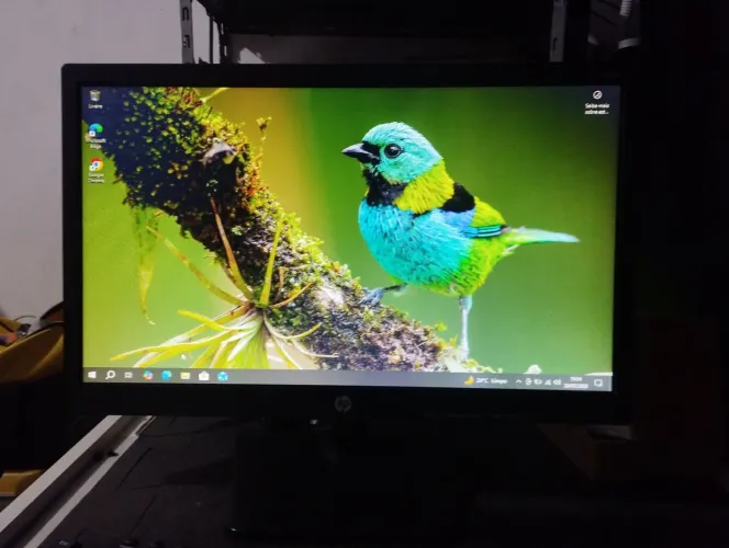 MONITOR HP 18.5 POLEGADAS