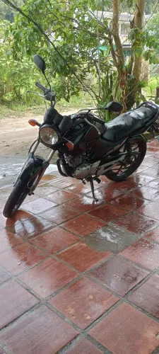 Factor YBR 125