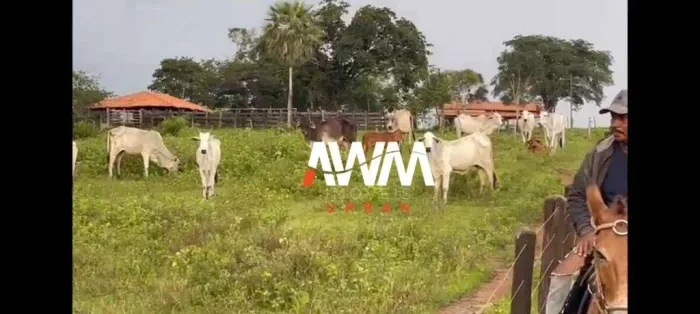 Fazenda à venda, 3330000 m² por R$ 5.500.000 - Centro - Itapecuru Mirim/MA