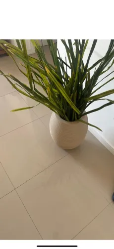 Vaso decorativo 