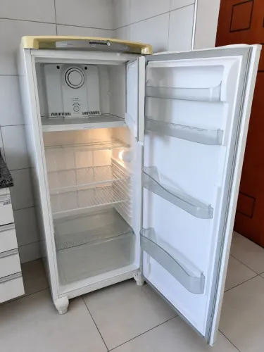 Geladeira Consul Facilite Frost Free