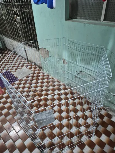 Cercado de Aramado