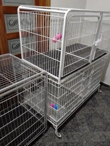 Gaiolas de pet shop para gatil ou canil