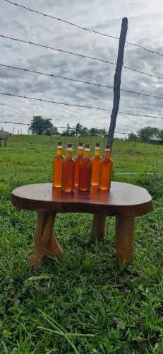 Mel de abelha puro orgânico