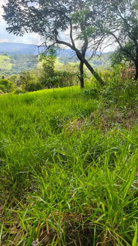 Terreno no Bairro do Livramento, Socorro - SP.