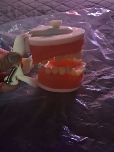 Modelo articulado para dentista