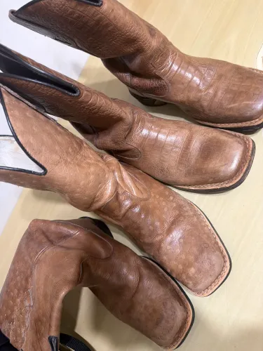 Bota texana