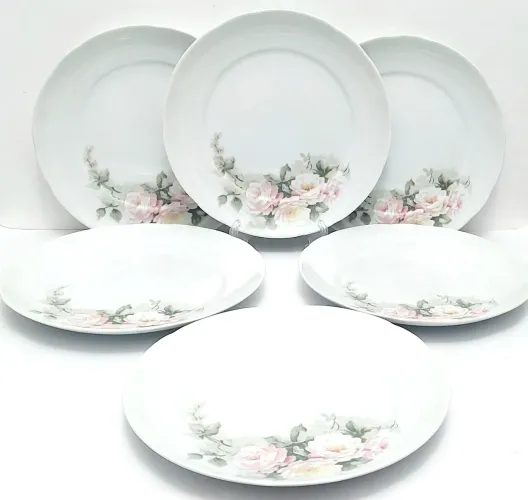 Conjunto de 06 Pratos Rasos Porcelana S-Schmidt -Rosas Pintadas à mão