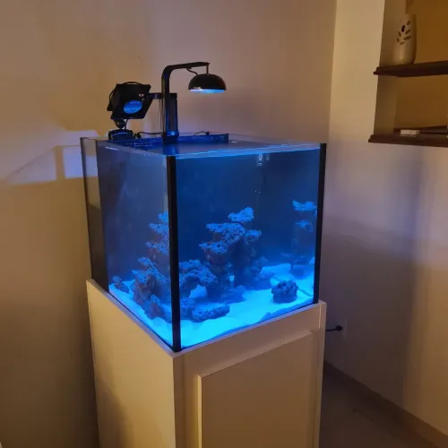 Aquários preço de custo!