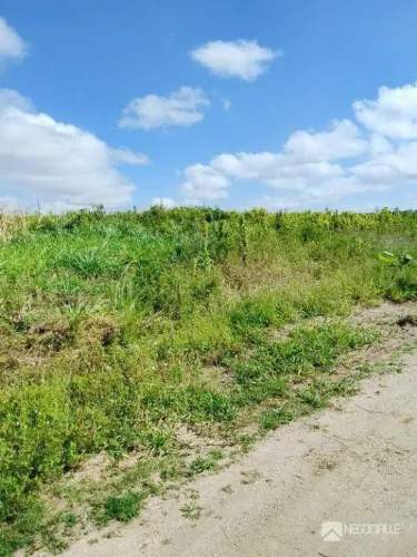 Terreno à venda, 400 m² por R$ 40.000,00 - Massaranduba - Massaranduba/PB