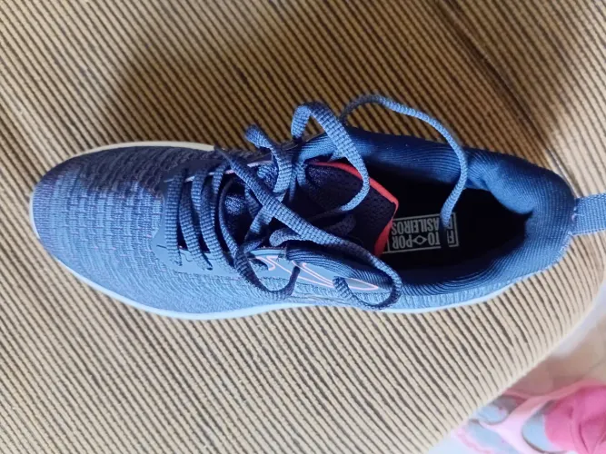 Tenis