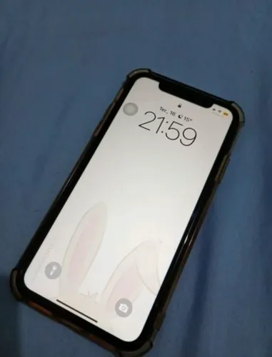 iPhone xr saúde bateria 77% fui a única dona