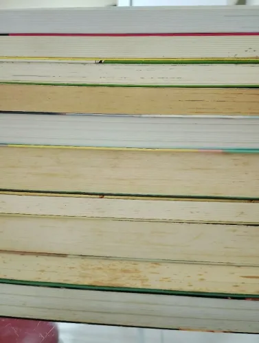 Lote de livros