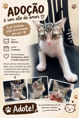Doação