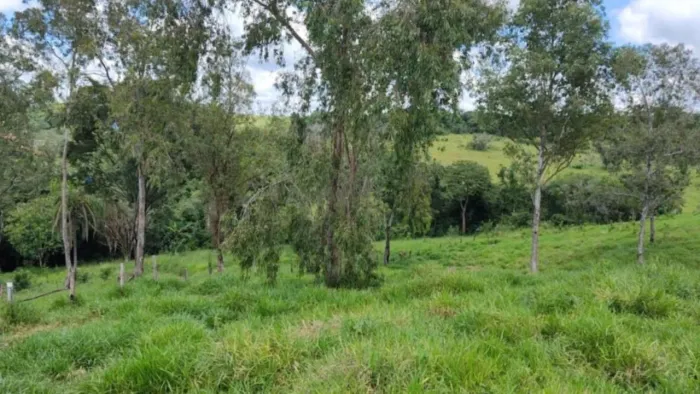 Leilão - Terreno - De R$1.900.000,00 Por R$950.000,00