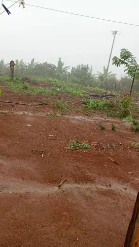 Sítio venda ou troca
